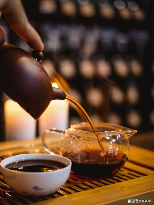 老茶溯源 一片叶子的时光之旅