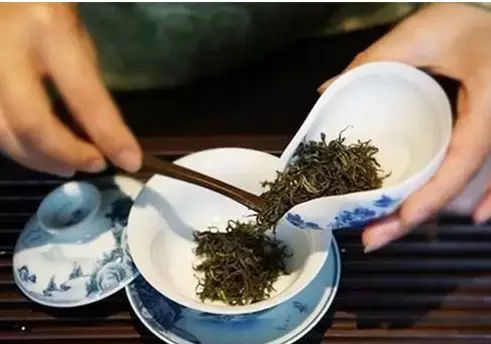 一叶知味 论投茶中的门道与艺术